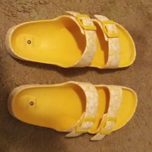 Birkenstocks